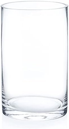 Enova Floral Clear Glass Cylinder Vase 6x10 Inches