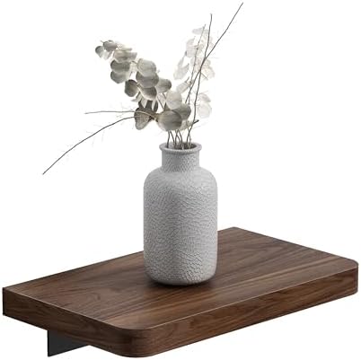 Danpoo 8 Inch Wall Mounted Floating Shelf