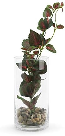 WGVI Thick Weighted Glass Cylinder Vases 6 Pcs
