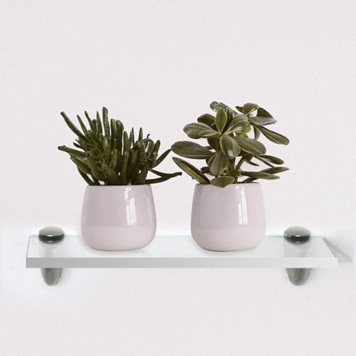 Clear Acrylic Floating Shelf 8x12 Inch 38 Thick by Yana