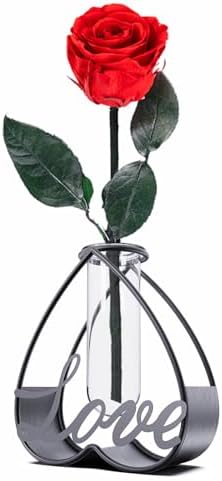 Modern Metal Flower Vase with Clear Glass Frame