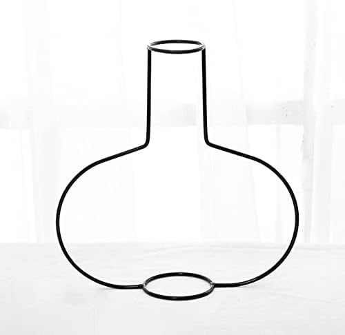 Iron Wire Flower Vase for Home Decor