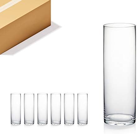 WGVI Clear Glass Cylinder Vases 6 Pcs 4 W x 12 H