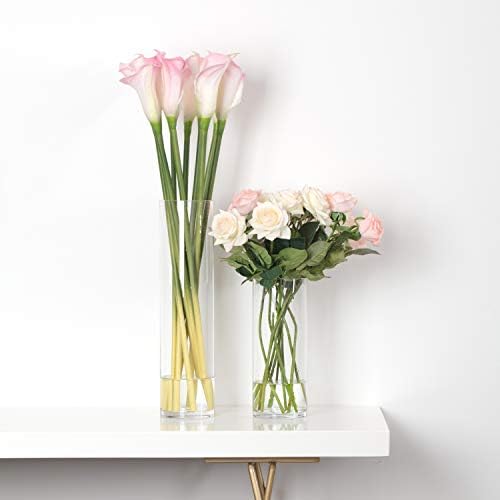 WGVI Tall Glass Cylinder Vase with Floating Candle Holder