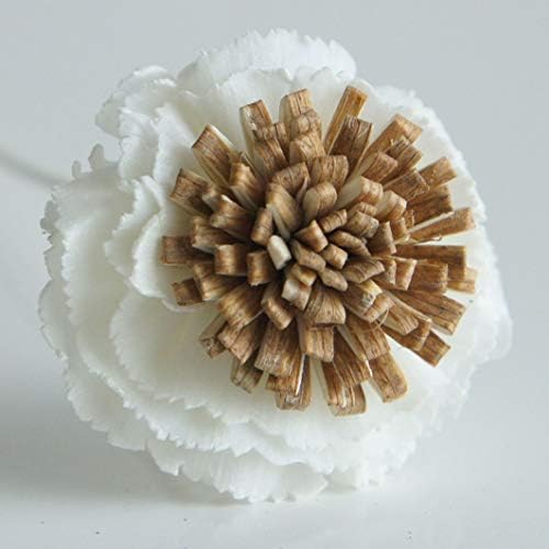 10 Fried Egg Sola Wood Flower Reed Diffuser for Home Fragrance