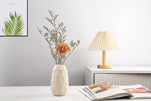 Bohemian Ceramic Vases with Dried Flowers and Houseplants