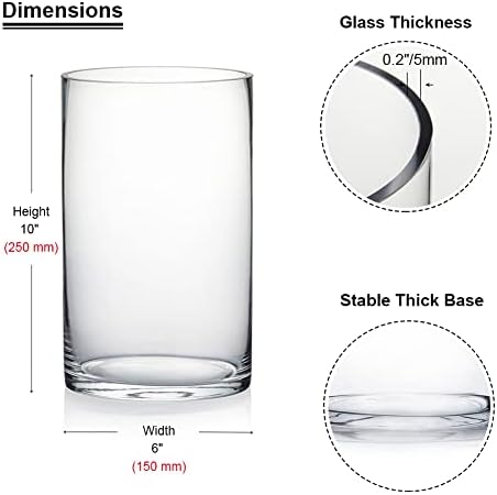 Enova Floral Clear Glass Cylinder Vase 6x10 Inches