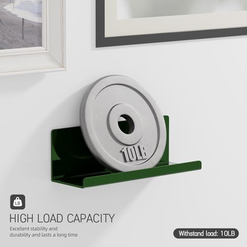 PAVSTINE 12 Inch Adhesive Floating Wall Shelf