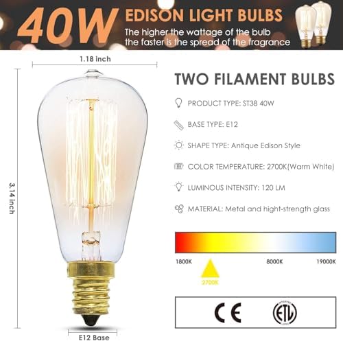 SALKING Electric Wax Warmer with 2 Edison Bulbs
