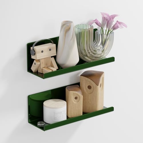 PAVSTINE 12 Inch Adhesive Floating Wall Shelf