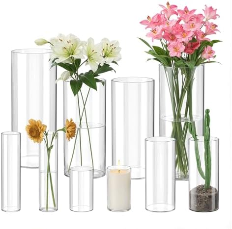Mavora Max Glass Cylinder Vase Set of 10