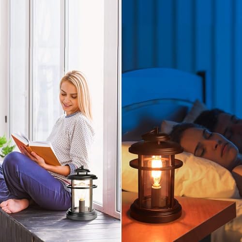 SALKING Electric Wax Warmer with 2 Edison Bulbs