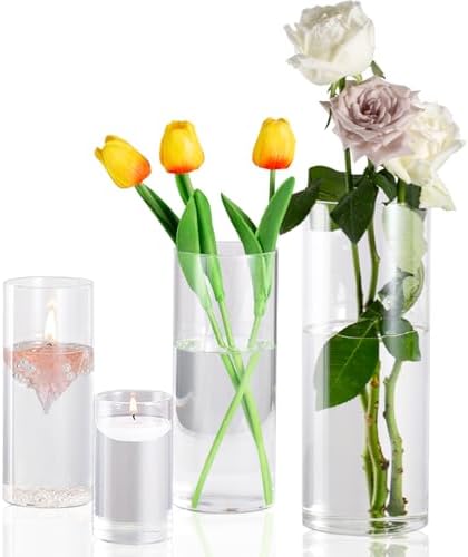 Clear Glass Cylinder Vases 4 6 8 10 Inches Tall 4 Pack