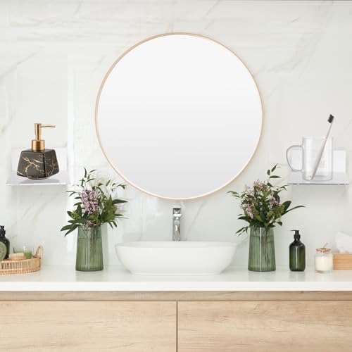 Wenqik 6-Pack Acrylic Floating Shelves for Wall Display