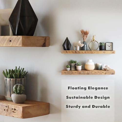 Urban Legacy Reclaimed Barnwood Floating Shelves Set of 2