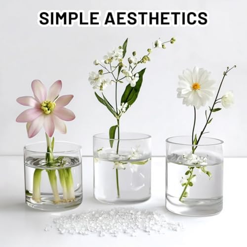 6 Pcs Glass Cylinder Vase for Party Centerpieces