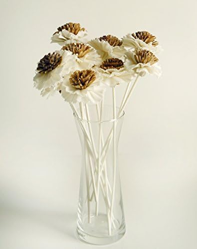 10 Fried Egg Sola Wood Flower Reed Diffuser for Home Fragrance