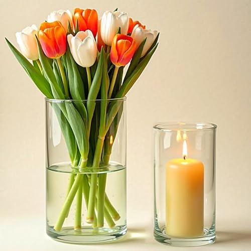 24 Pack Clear Glass Cylinder Vases for Centerpieces