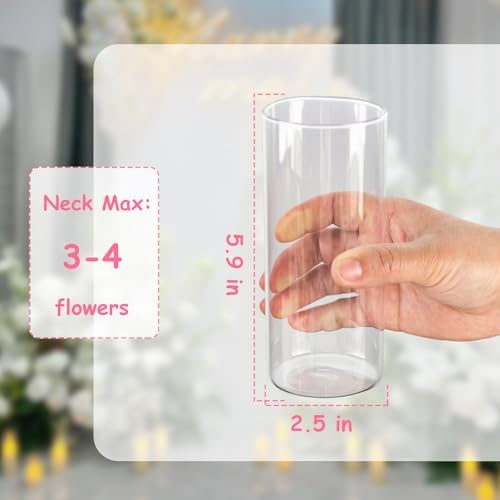 CHPINDAM Tall Glass Cylinder Vase 59 Inch