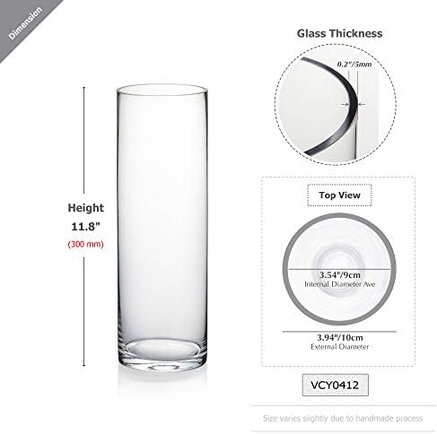WGVI Clear Glass Cylinder Vases 6 Pcs 4 W x 12 H