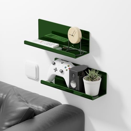 PAVSTINE 12 Inch Adhesive Floating Wall Shelf