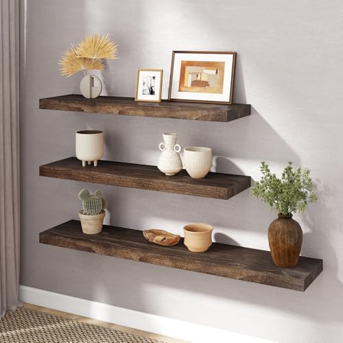 RICHFOCUS Elm Floating Shelves for Wall - Set of 2 Walnut