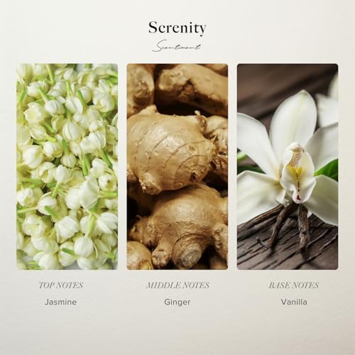 Scentiment Diffuser Oil - Serenity Hotel 20 mL