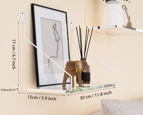 Clear Acrylic Floating Shelves No Drilling Needed Set of 2
