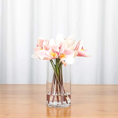 WGVI Quality Thick Cylinder Glass Vase 6 x 8