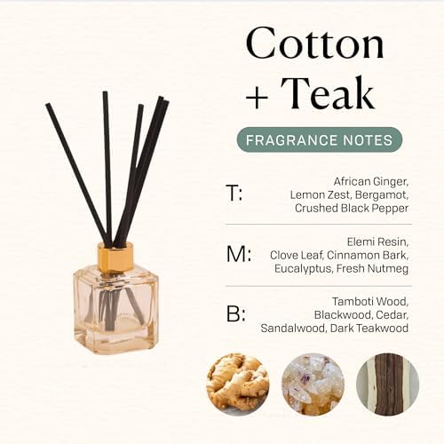 Paddywax Botanica Scented Oil Diffuser with Reeds in Reusable Glass Bottle