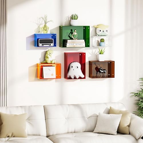 Dewrhiixe Acrylic Floating Shelves Set of 6