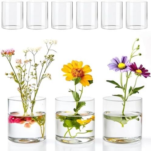 6 Pcs Glass Cylinder Vase for Party Centerpieces