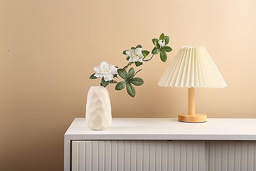 Bohemian Ceramic Vases with Dried Flowers and Houseplants