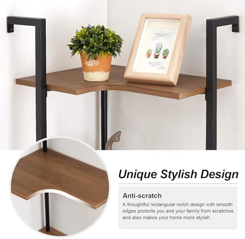 5 Tier Corner Shelf Stand with Metal Frame