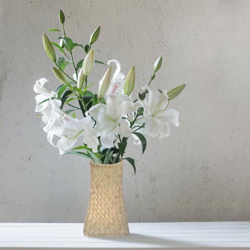 Angoily Woven Rattan Vase for Home Decor