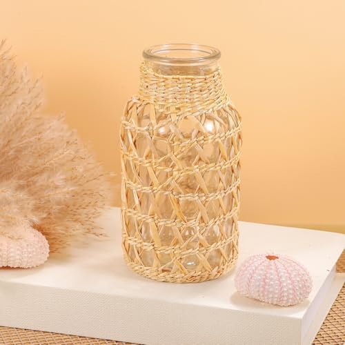 Angoily Glass Flower Vase with Rattan Woven Design