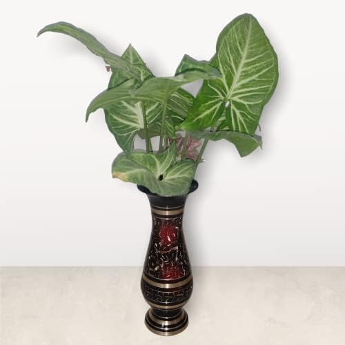 AKANKSHA ARTS 8 Inch Brass Decor Vase