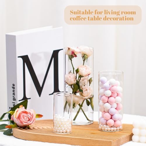 Clear Glass Cylinder Vases 4 6 8 10 Inches Tall 4 Pack
