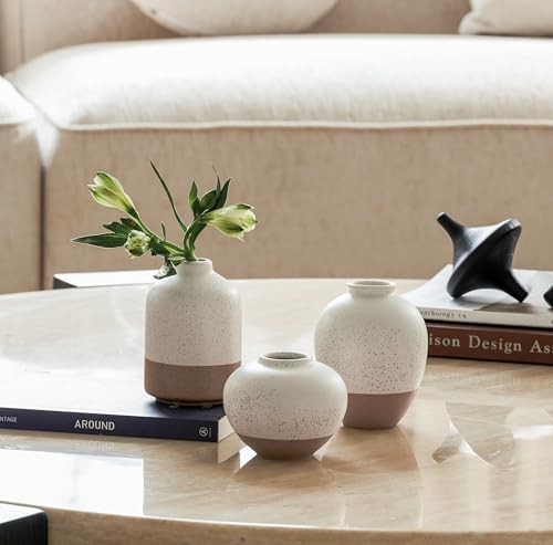 Ceramic Vase Set of 3 Rustic Farmhouse Decor