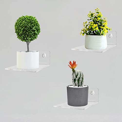 Bigfety Acrylic Floating Shelves 3-Ledges Clear Display Shelf
