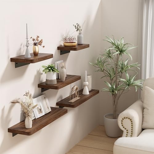 Danpoo 8 Inch Wall Mounted Floating Shelf