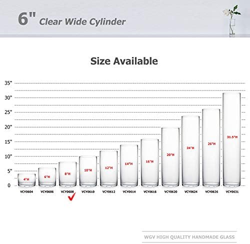 WGVI Quality Thick Cylinder Glass Vase 6 x 8