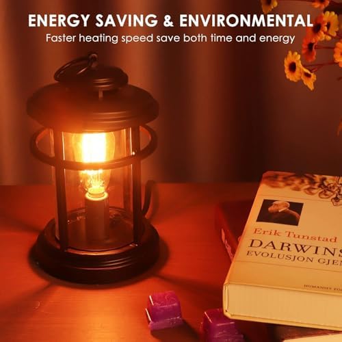 SALKING Electric Wax Warmer with 2 Edison Bulbs