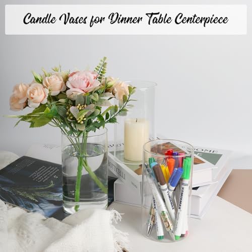 12pcs Clear Glass Cylinder Vases for Centerpieces and Decor
