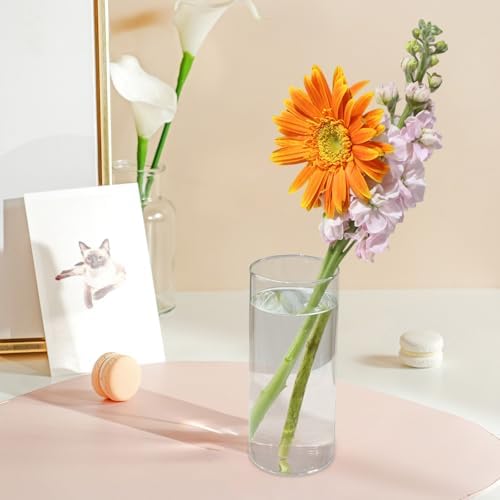 CHPINDAM Tall Glass Cylinder Vase 59 Inch