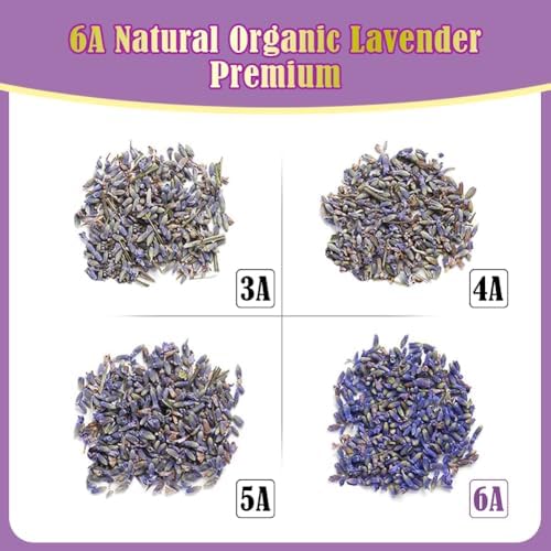 Cedar Space 32 Lavender Sachet Bags for Home and Closet Use