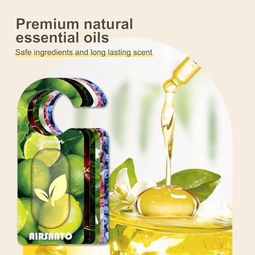 Airsanto Scents Sachets Pack 6 Mixed Fragrances