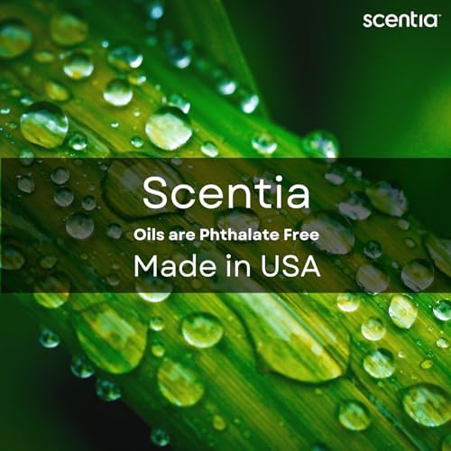 Scentia Santal Diffuser Oil 120ml Luxury Fragrance