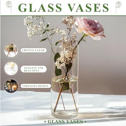 Zomiol Glass Cylinder Vase Set of 18 for Centerpieces