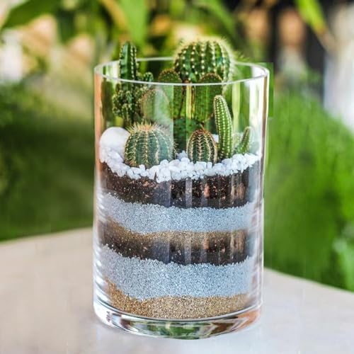 Clear Glass Cylinder Vase with 8 Height and 4 Diameter
